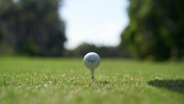 ゴルフ会員権の相続と相続税評価